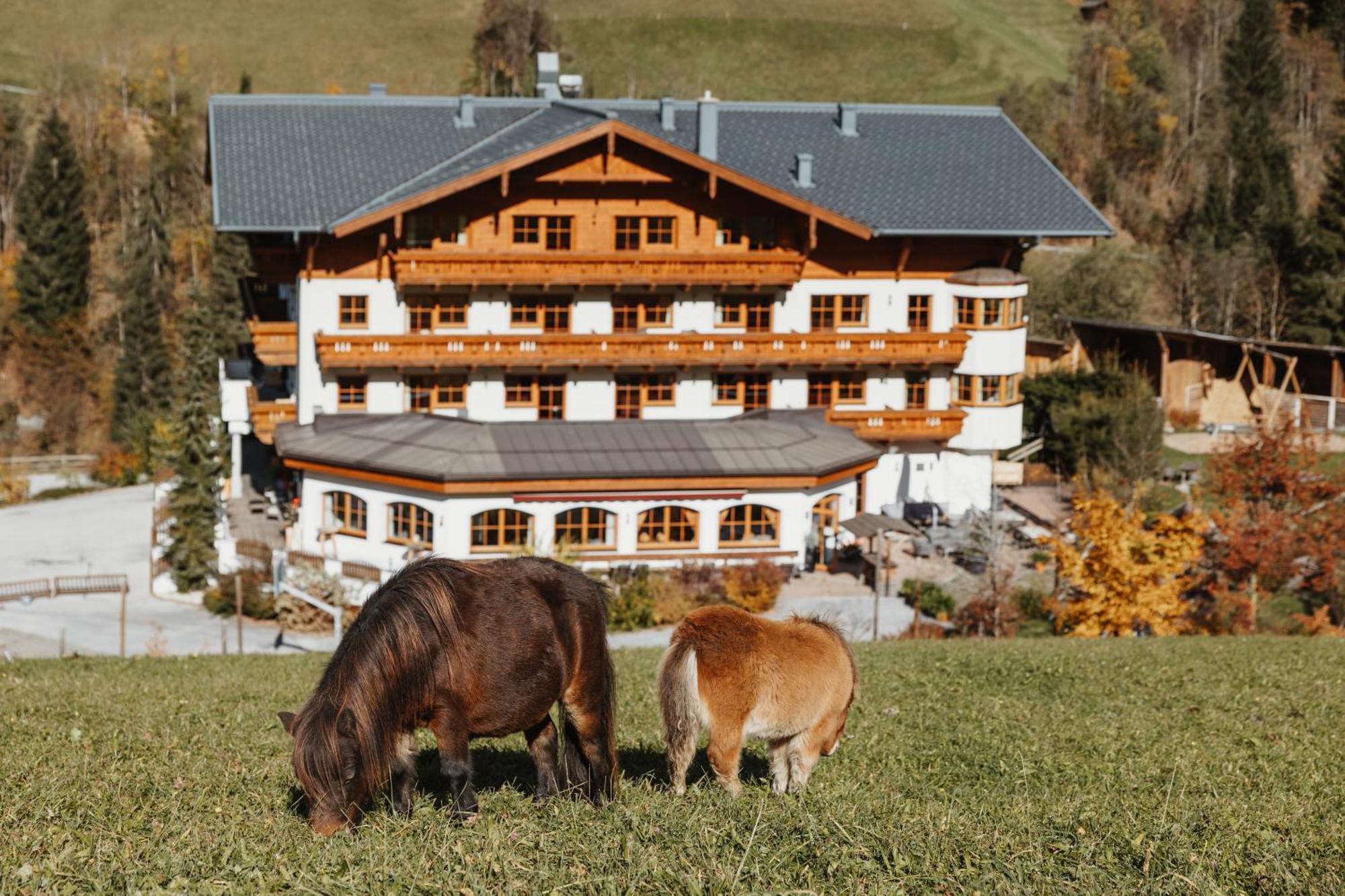Hotel Lammwirt Grossarl Luaran gambar